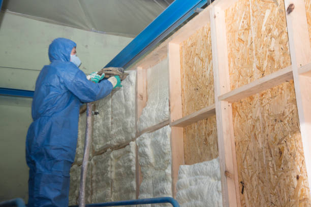 Best Residential Insulation Services  in Lake Ronkonkoma, NY