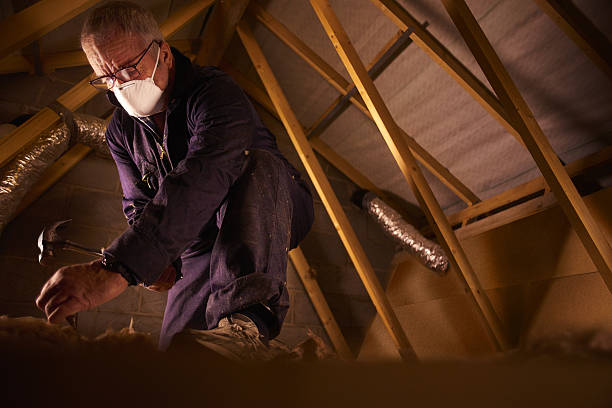 Best Fiberglass Insulation  in Lake Ronkonkoma, NY